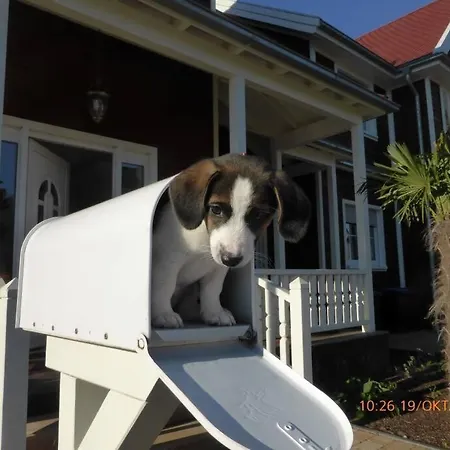 Melrose - Design & Glasfaser Am Silbersee