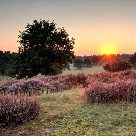 Melrose - Design & Glasfaser Am Silbersee Lehmbraken
