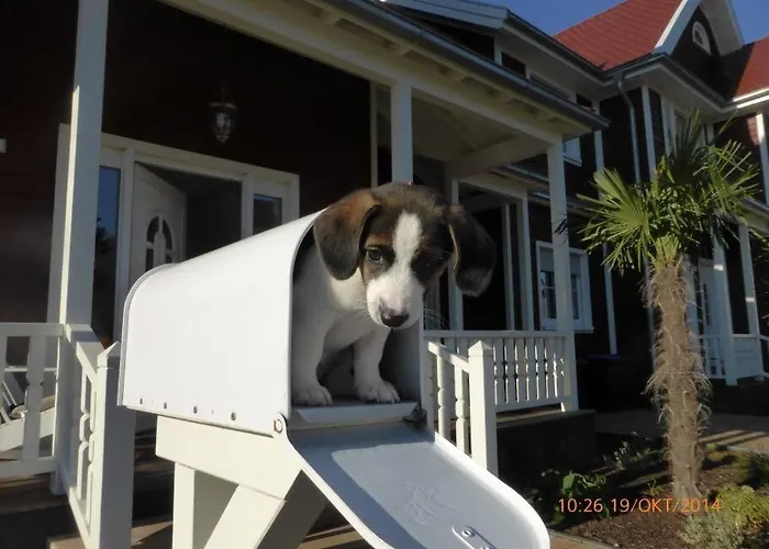 Melrose - Design & Glasfaser Am Silbersee