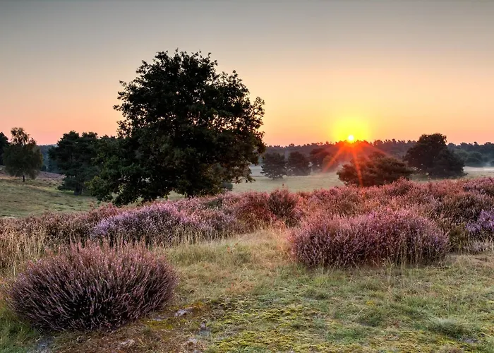 Melrose - Design & Glasfaser Am Silbersee Lehmbraken